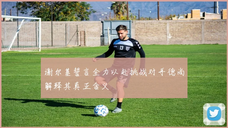 谢尔基誓言全力以赴挑战对手德尚解释其真正含义